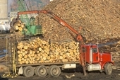 Wood Products - Biomass